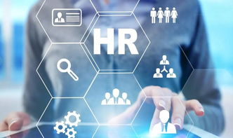 阿里前政委張麗俊 不懂業(yè)務(wù)戰(zhàn)略的傳統(tǒng)HR正在被淘汰