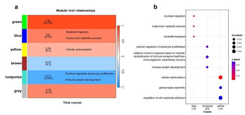 成都生物研究所在蠑螈肢體再生早期的遺傳機制探究中取得進(jìn)展