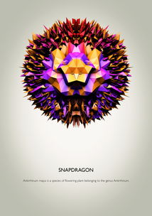 海報廣告設計 視覺與信息的藝術融合